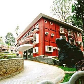 Forest Haven Resort Munnar Kültér fotó